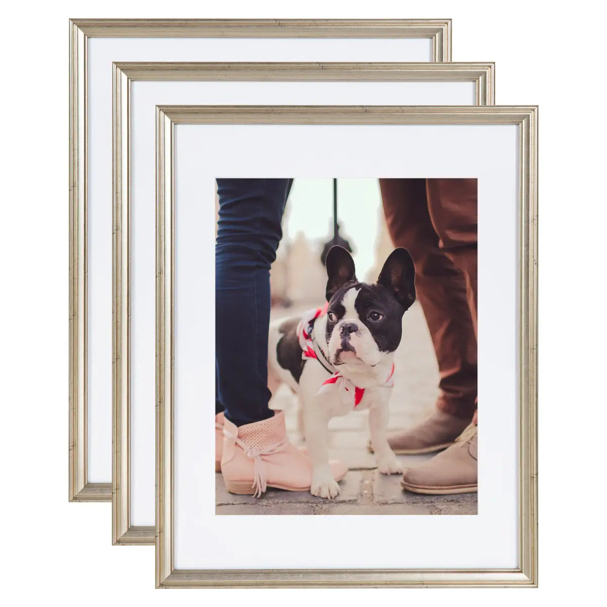 Adlynn Photo Frames - Set of 3 - Silver / 14x18 matted to 11x14 - kateandlaurel