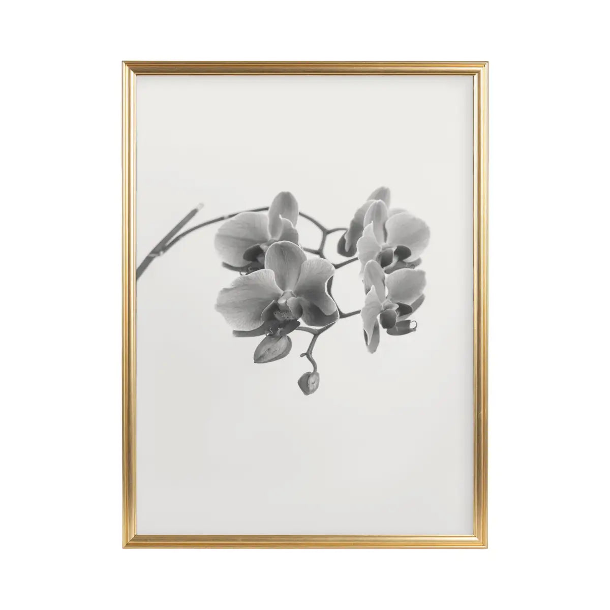 Adlynn Photo Frames - Set of 3 - kateandlaurel