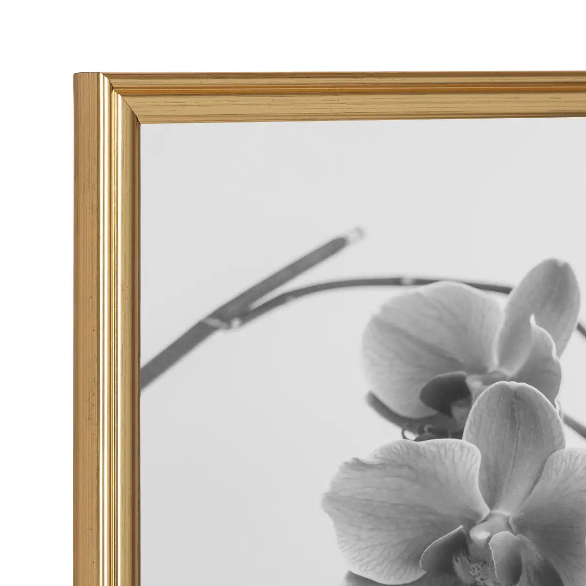 Adlynn Photo Frames - Set of 3 - kateandlaurel