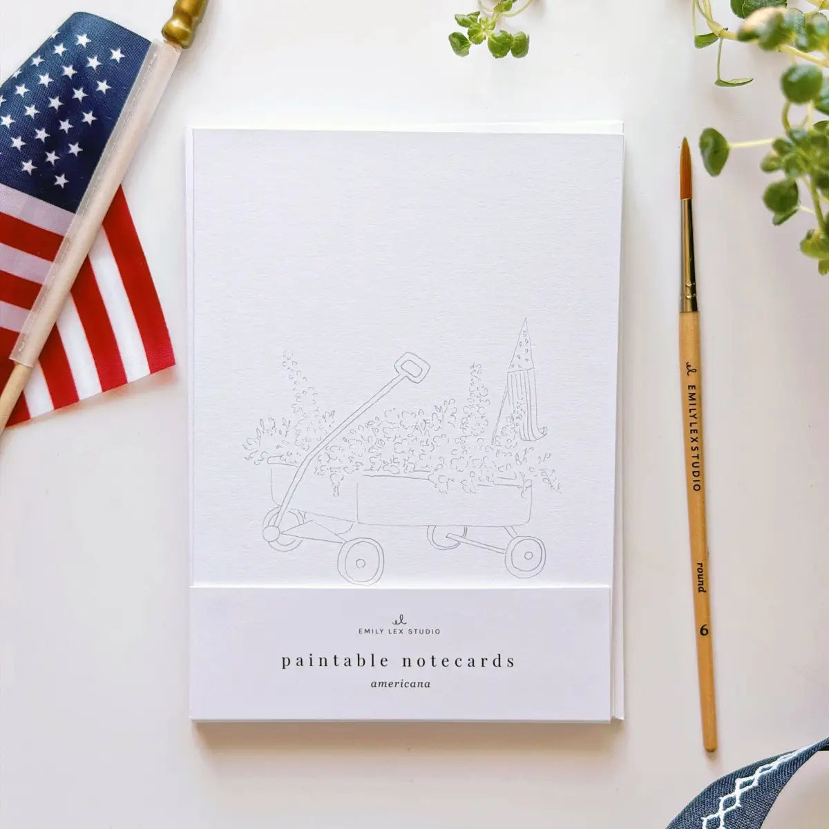 Watercolor Notecard Set - Americana - Paintable - emily lex studio