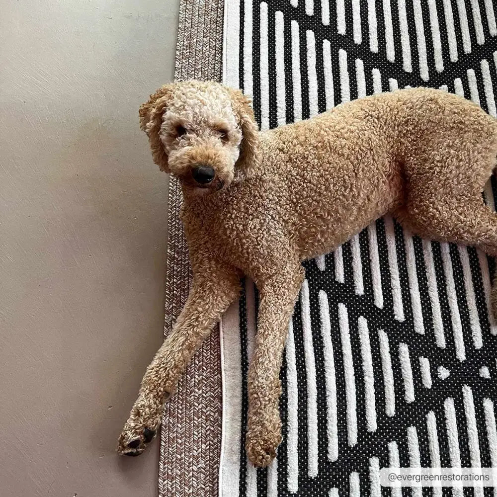 Anah Black Outdoor Rug - Boutique Rugs