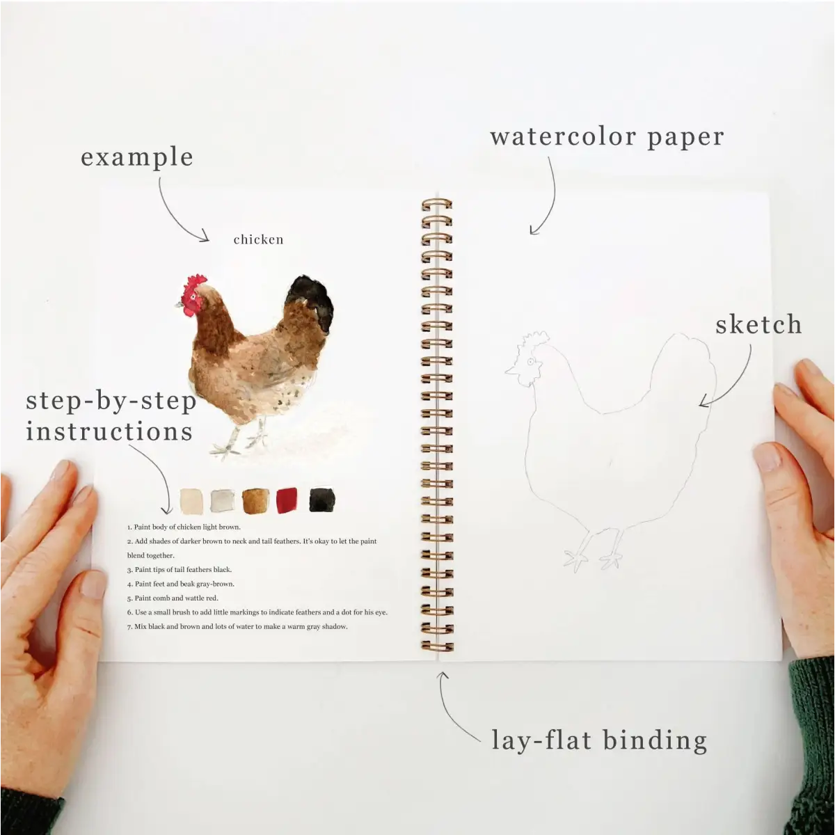Watercolor Workbook - Animals - Emily Lex - emily lex studio