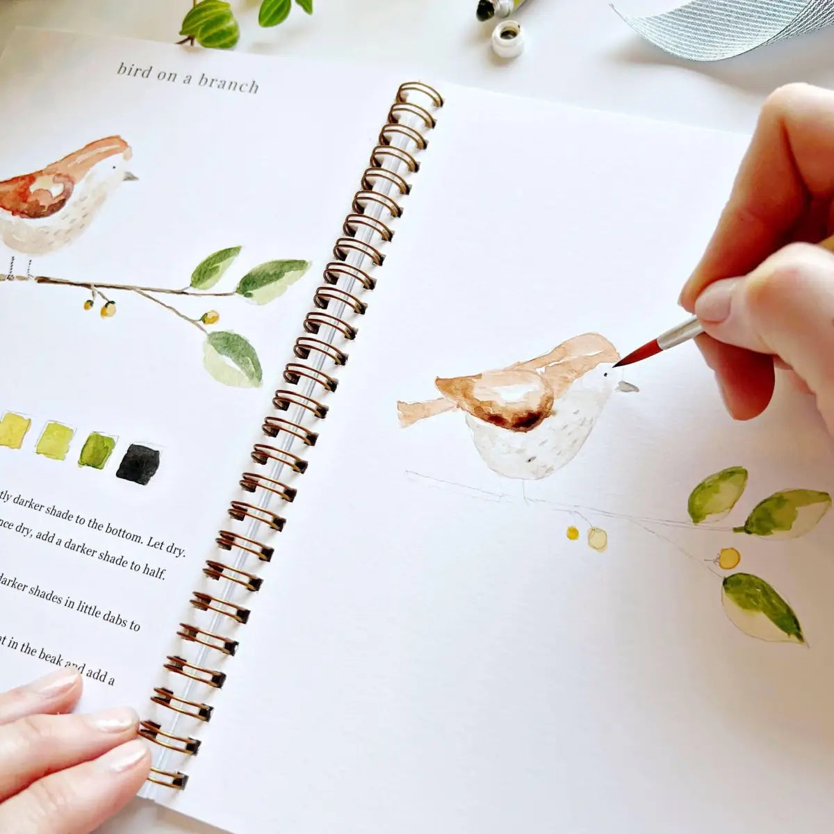 Watercolor Workbook - Animals - Emily Lex - emily lex studio