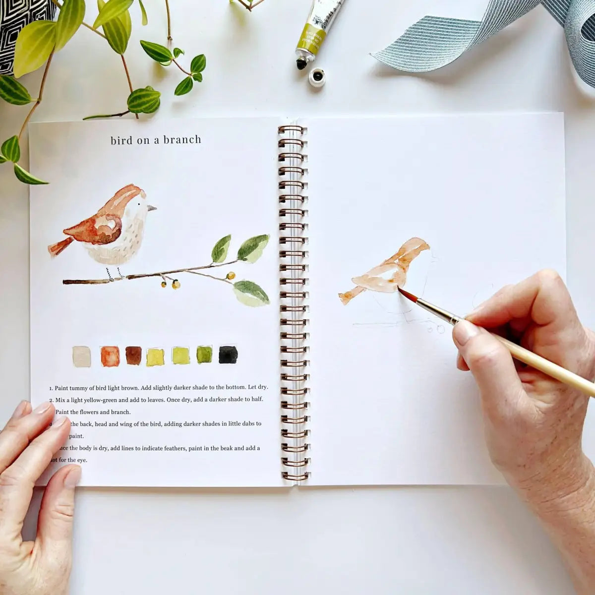Watercolor Workbook - Animals - Emily Lex - emily lex studio