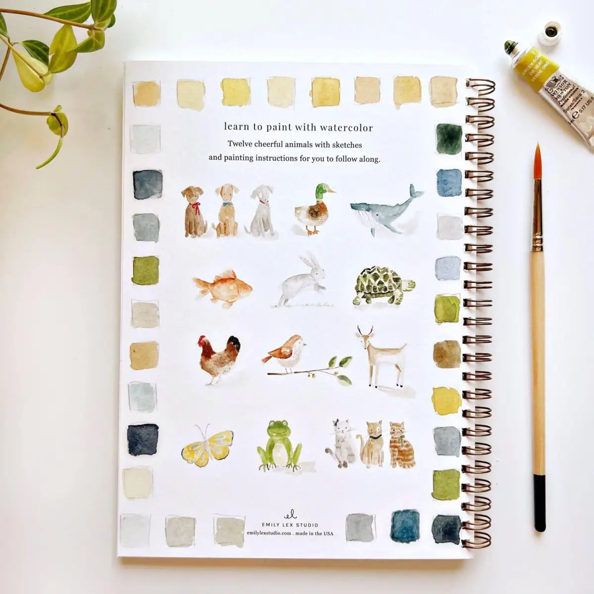 Watercolor Workbook - Animals - Emily Lex - emily lex studio