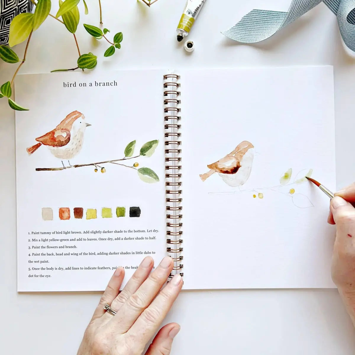 Watercolor Workbook - Animals - Emily Lex - emily lex studio
