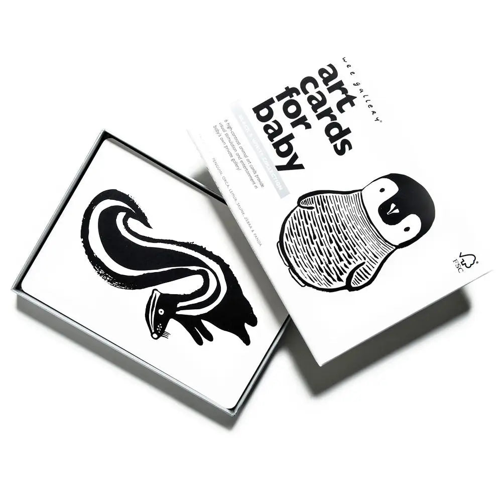 Art Cards for Baby - Black and White Collection - Wee Gallery
