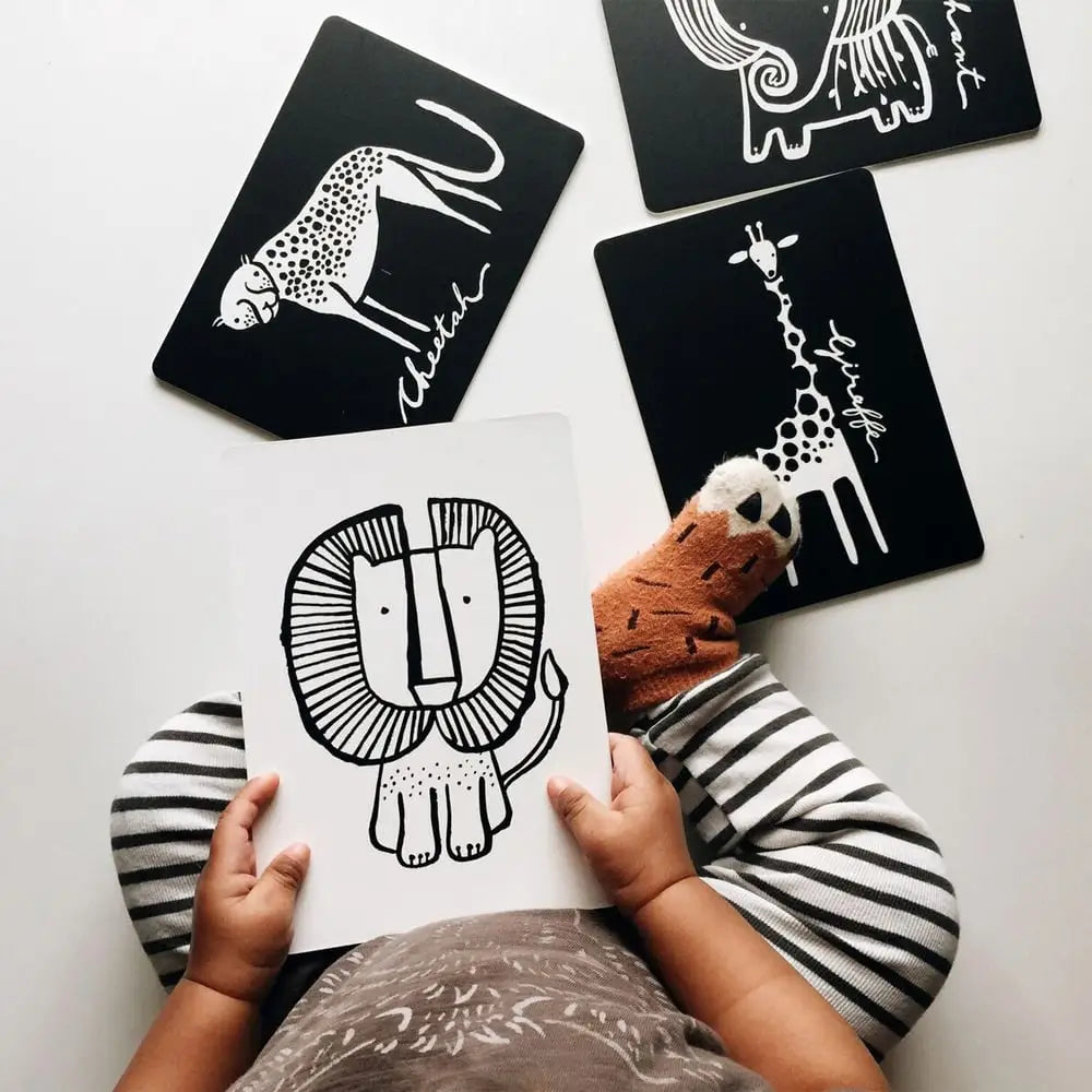 Art Cards for Baby - Jungle Collection - Wee Gallery