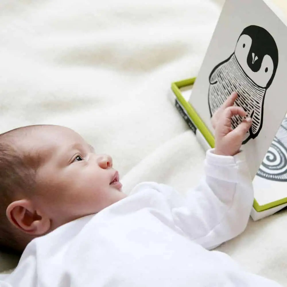 Art Cards for Baby - Jungle Collection - Wee Gallery