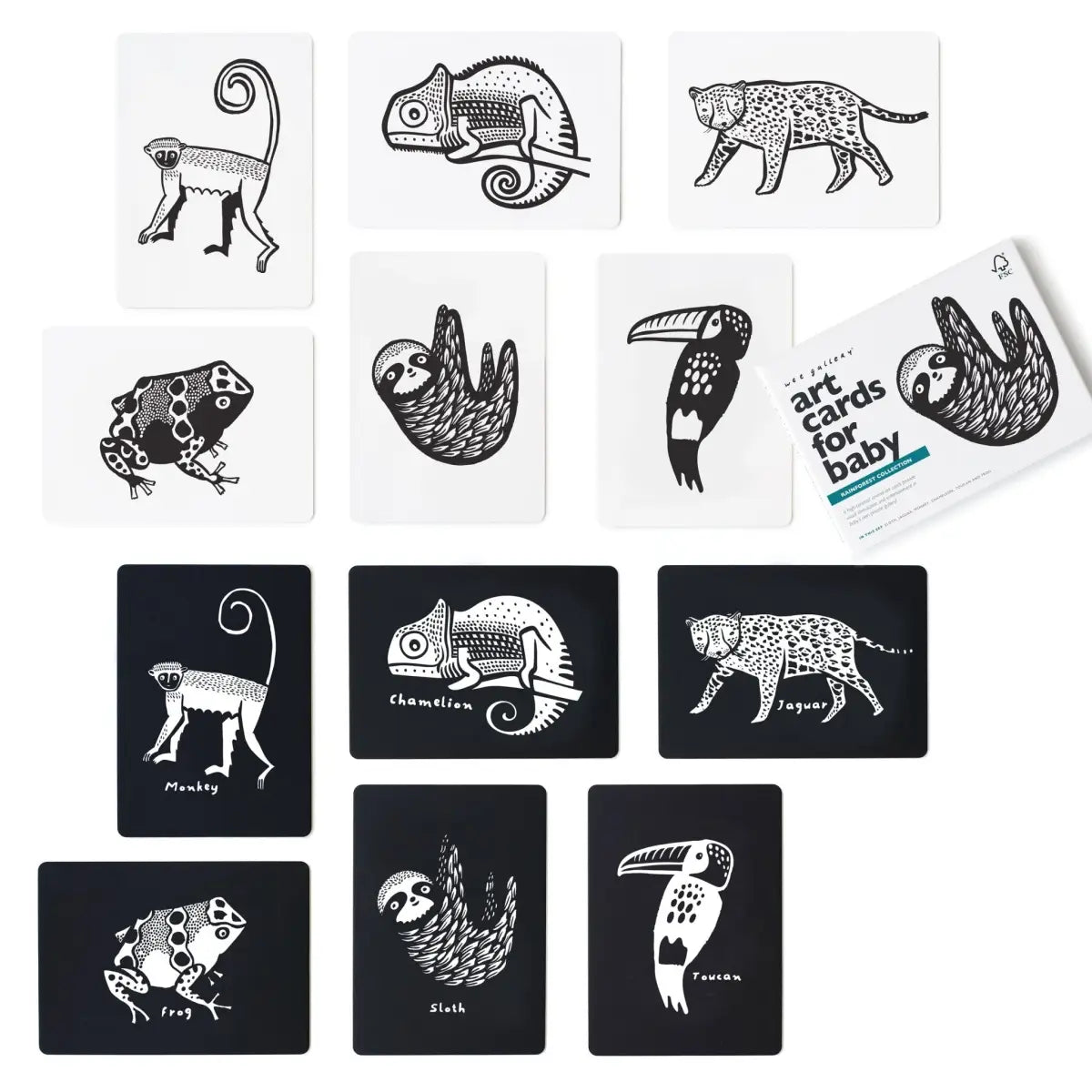 Art Cards for Baby - Rainforest Collection - Wee Gallery