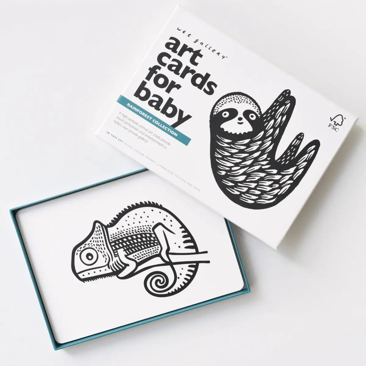 Art Cards for Baby - Rainforest Collection - Wee Gallery