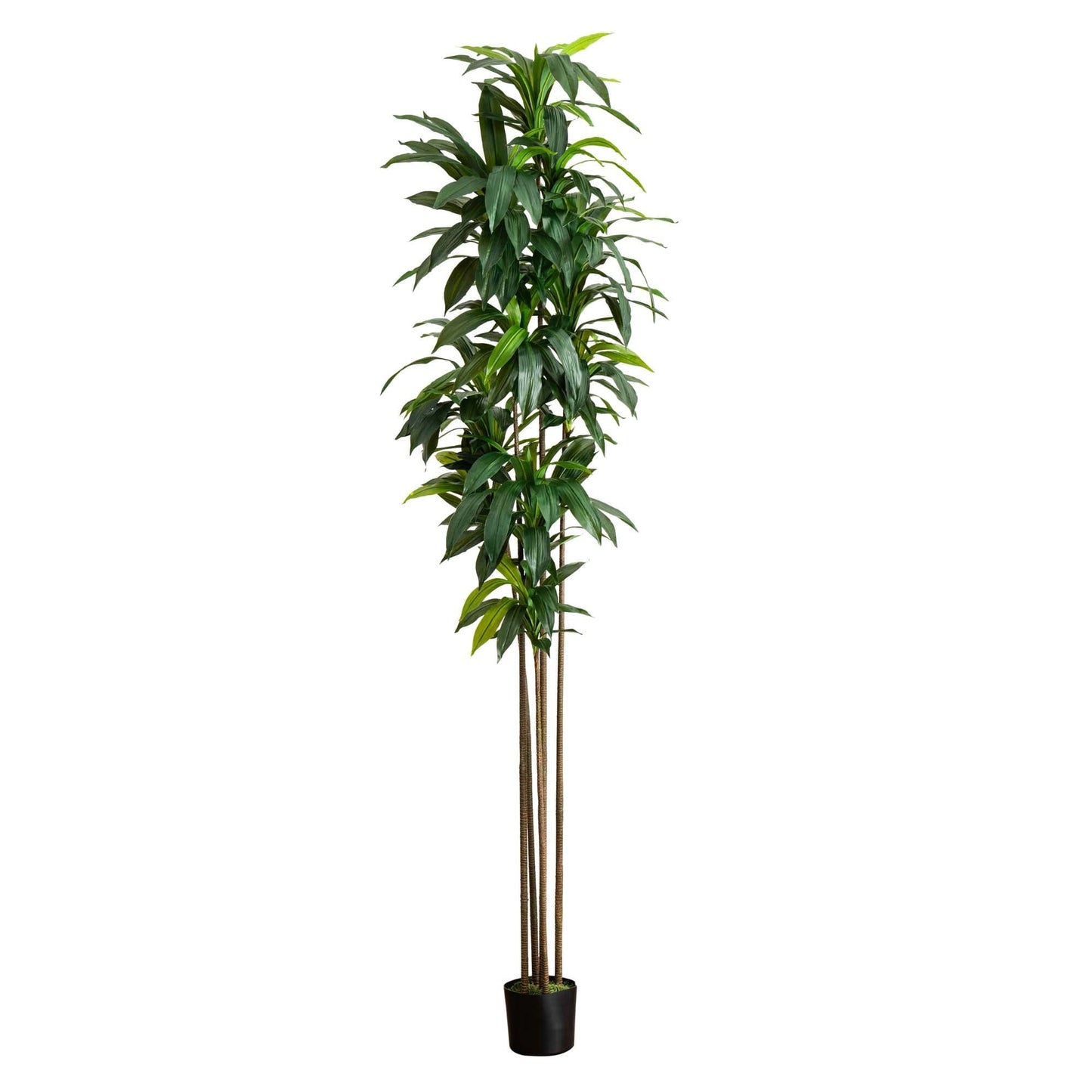 Árbol dracaena artificial de 10 pies con hojas de tacto real