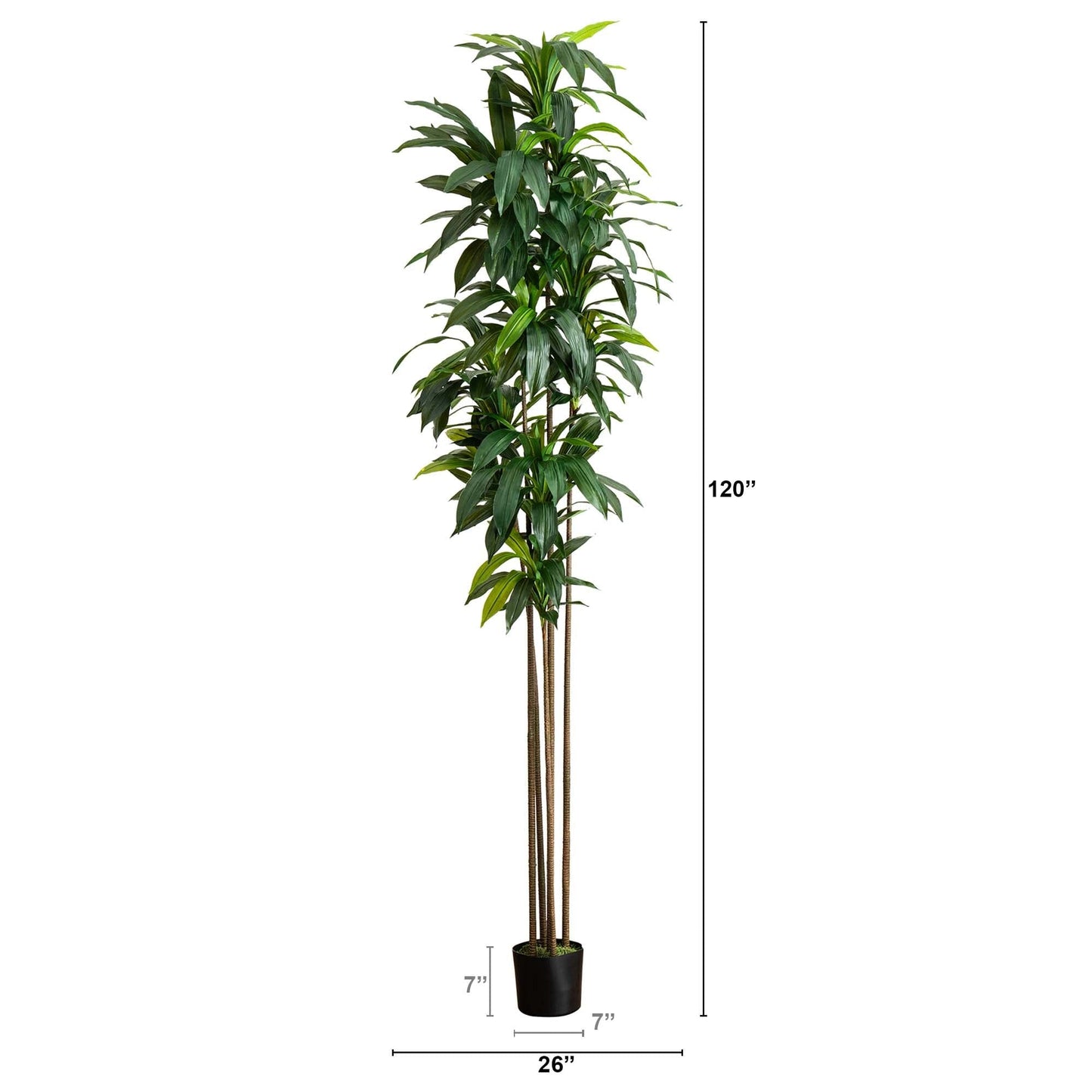 Árbol dracaena artificial de 10 pies con hojas de tacto real