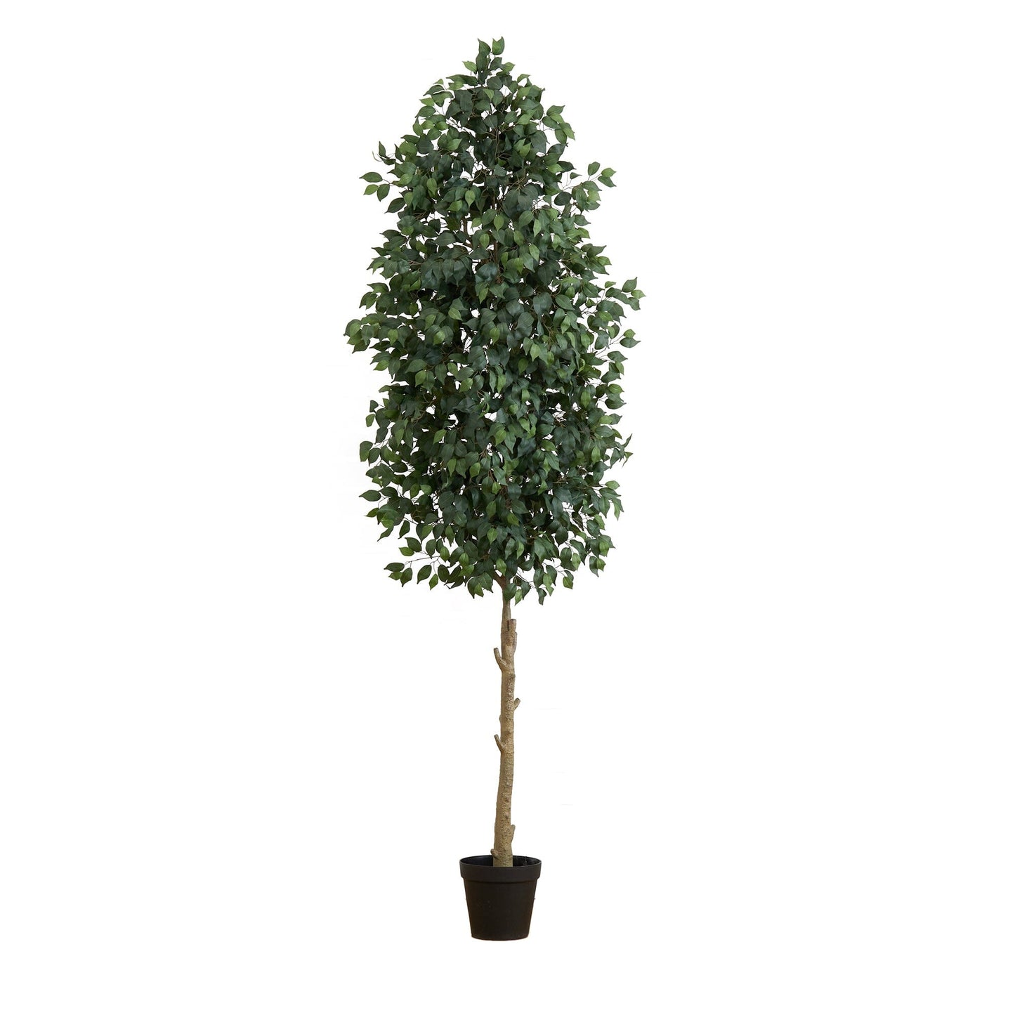 Ficus artificial de 10 pies