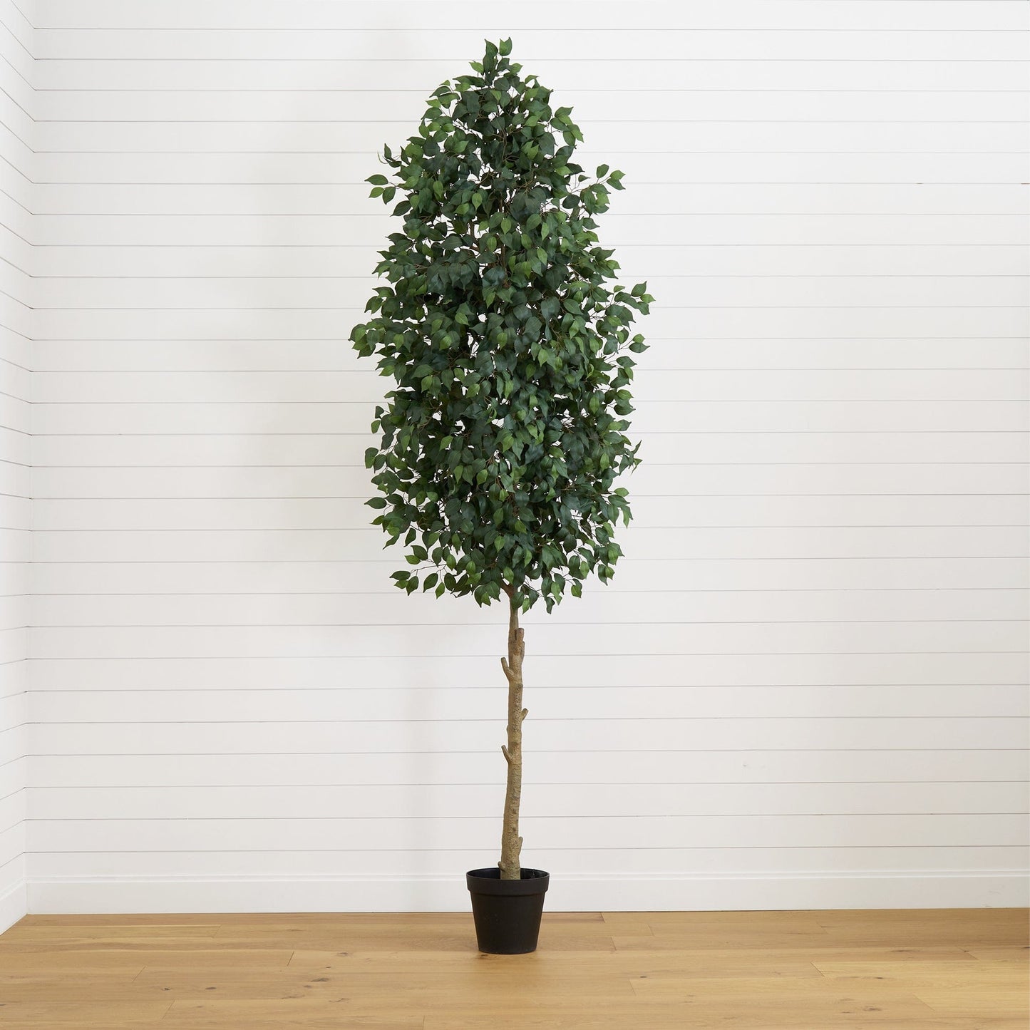 Ficus artificial de 10 pies