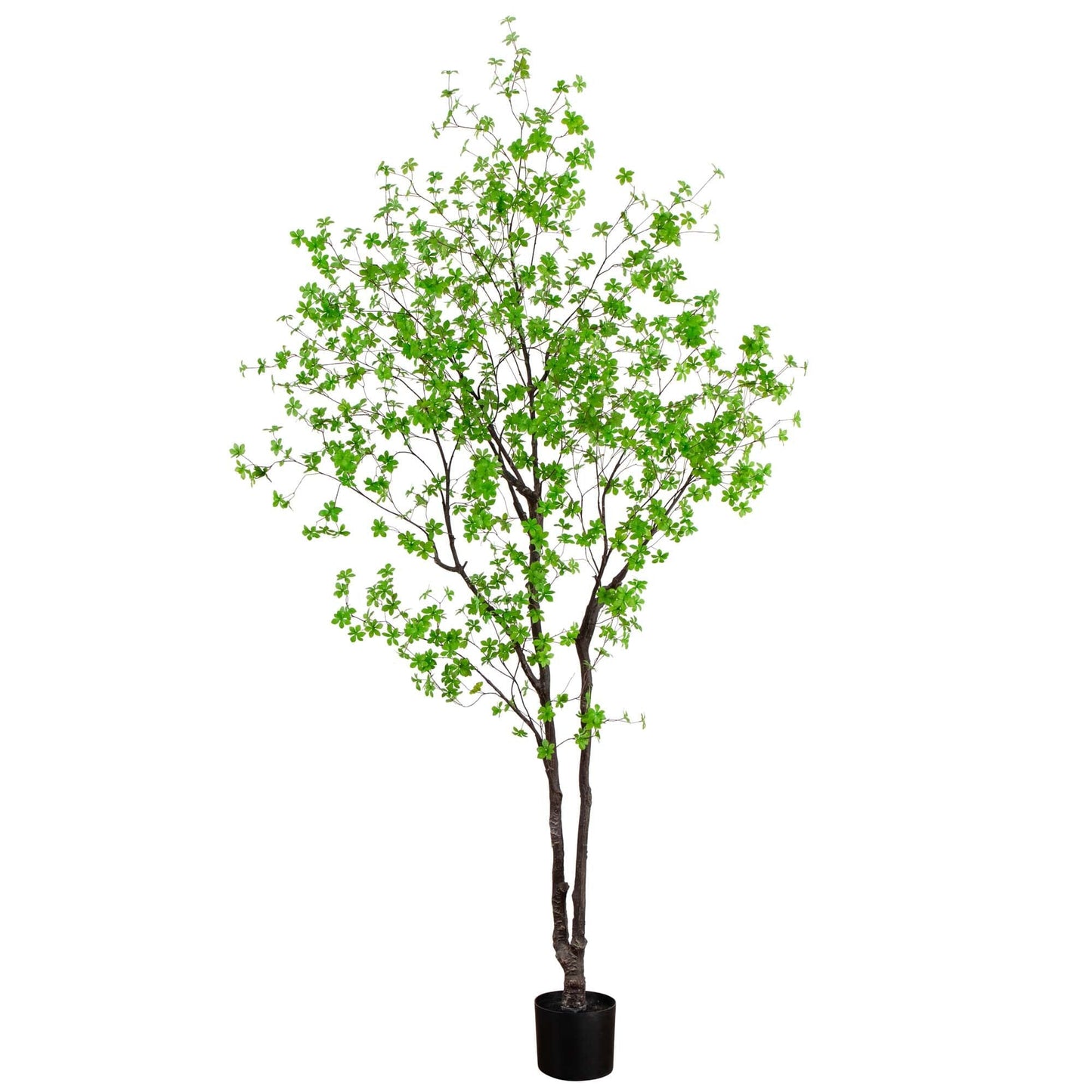 Árbol Enkianthus minimalista artificial de 10 pies