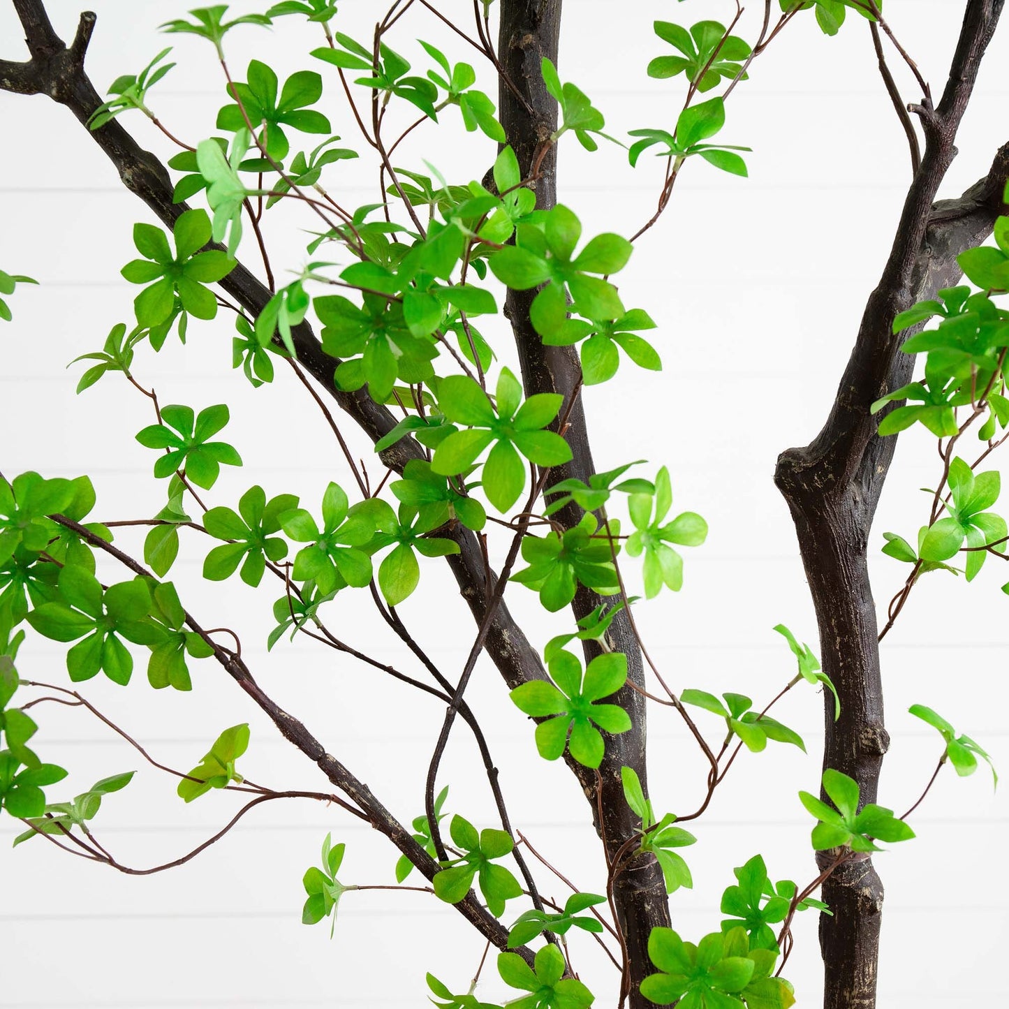 Árbol Enkianthus minimalista artificial de 10 pies