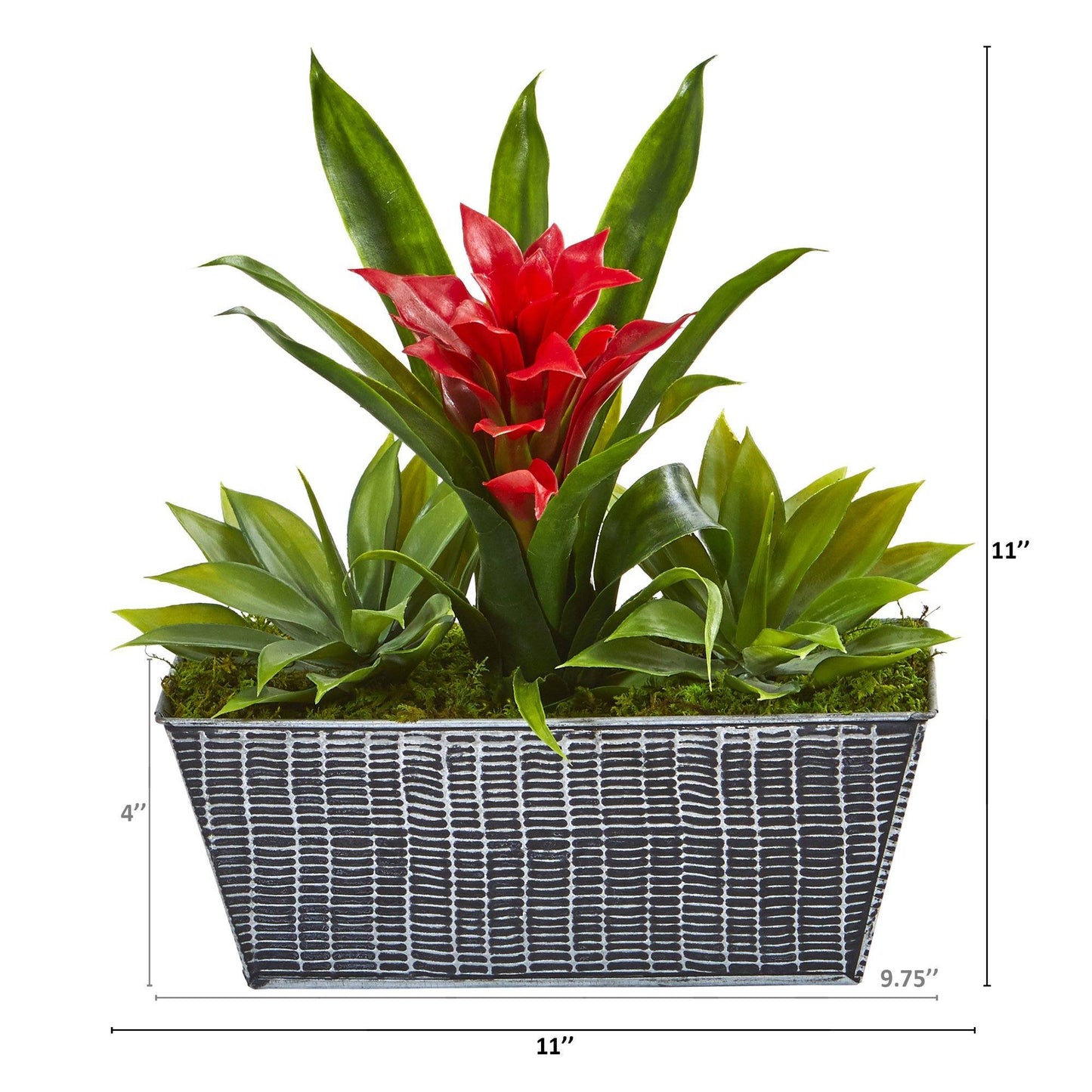 Planta de bromelia y agave de 11” en macetero de hojalata negra