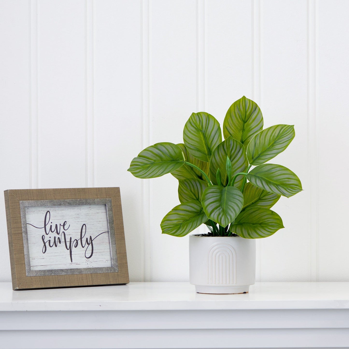 Planta Calathea artificial de 12" con macetero decorativo