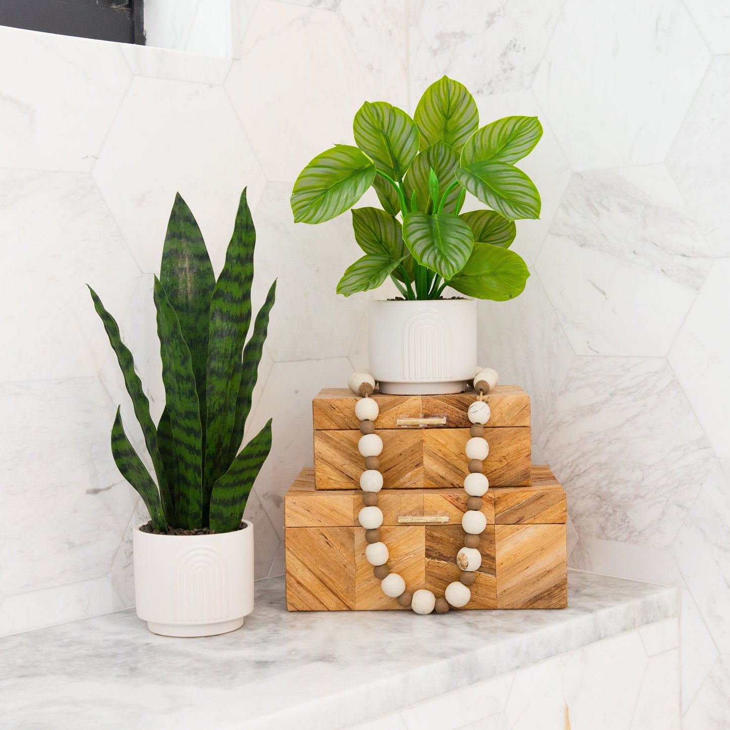 Planta Calathea artificial de 12" con macetero decorativo