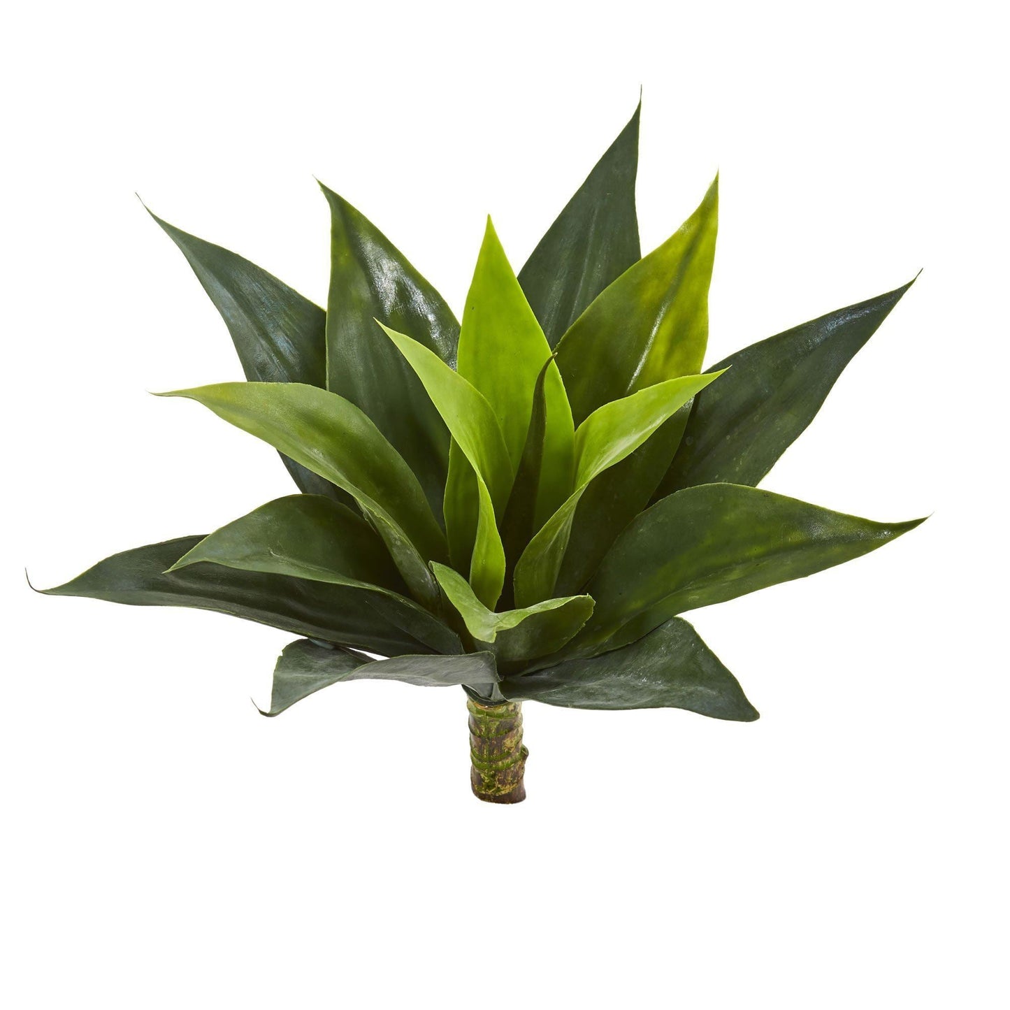 Planta suculenta artificial de agave de 13" (juego de 6)