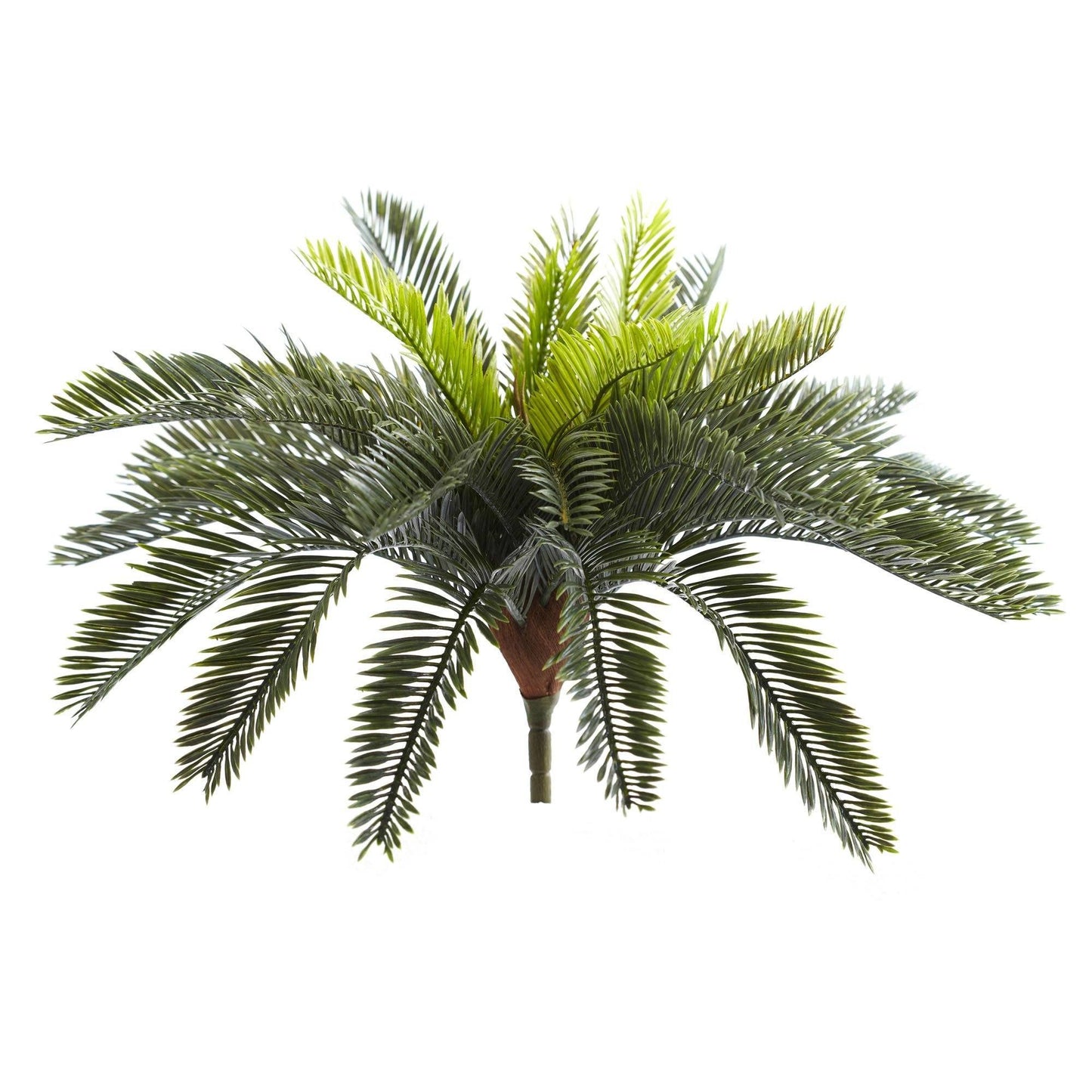 Planta artificial Cycas de 13” (juego de 2)