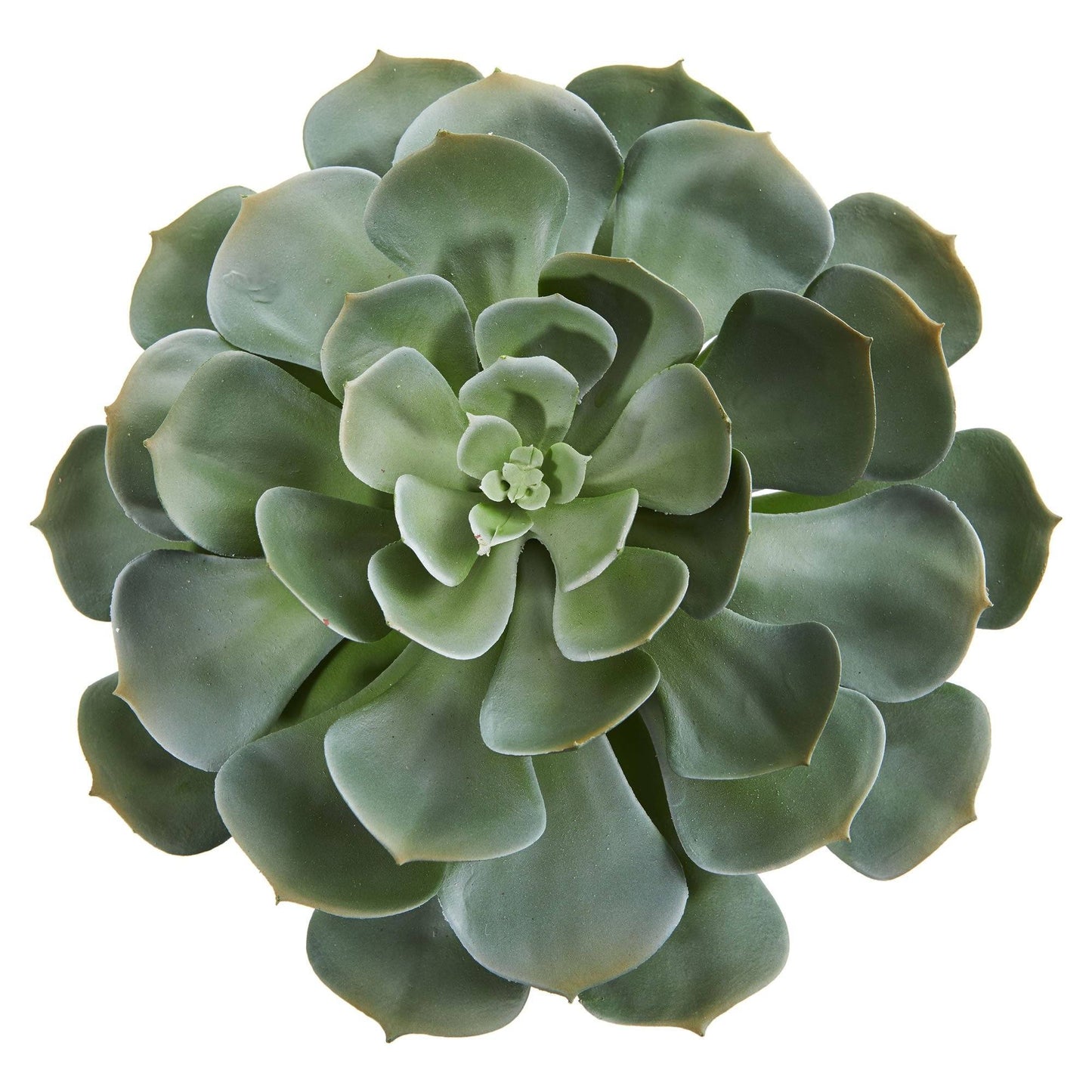 Planta artificial suculenta gigante Echeveria de 13" (juego de 2)