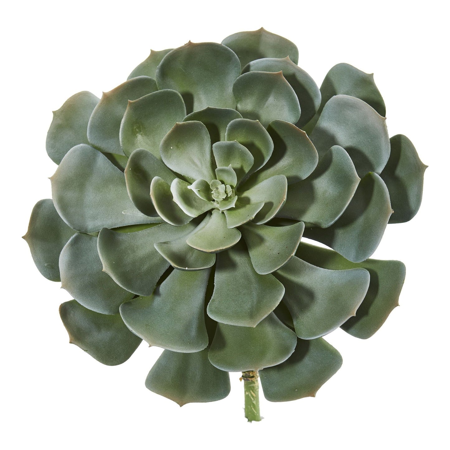 Planta artificial suculenta gigante Echeveria de 13" (juego de 2)