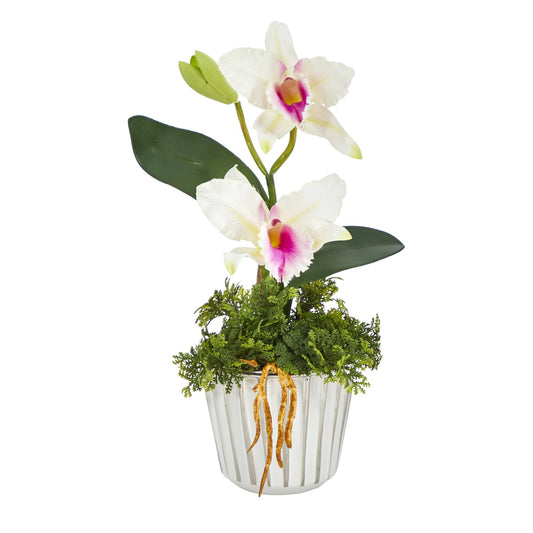 Arreglo artificial de orquídea Cattleya en miniatura de 13" en jarrón blanco con borde plateado