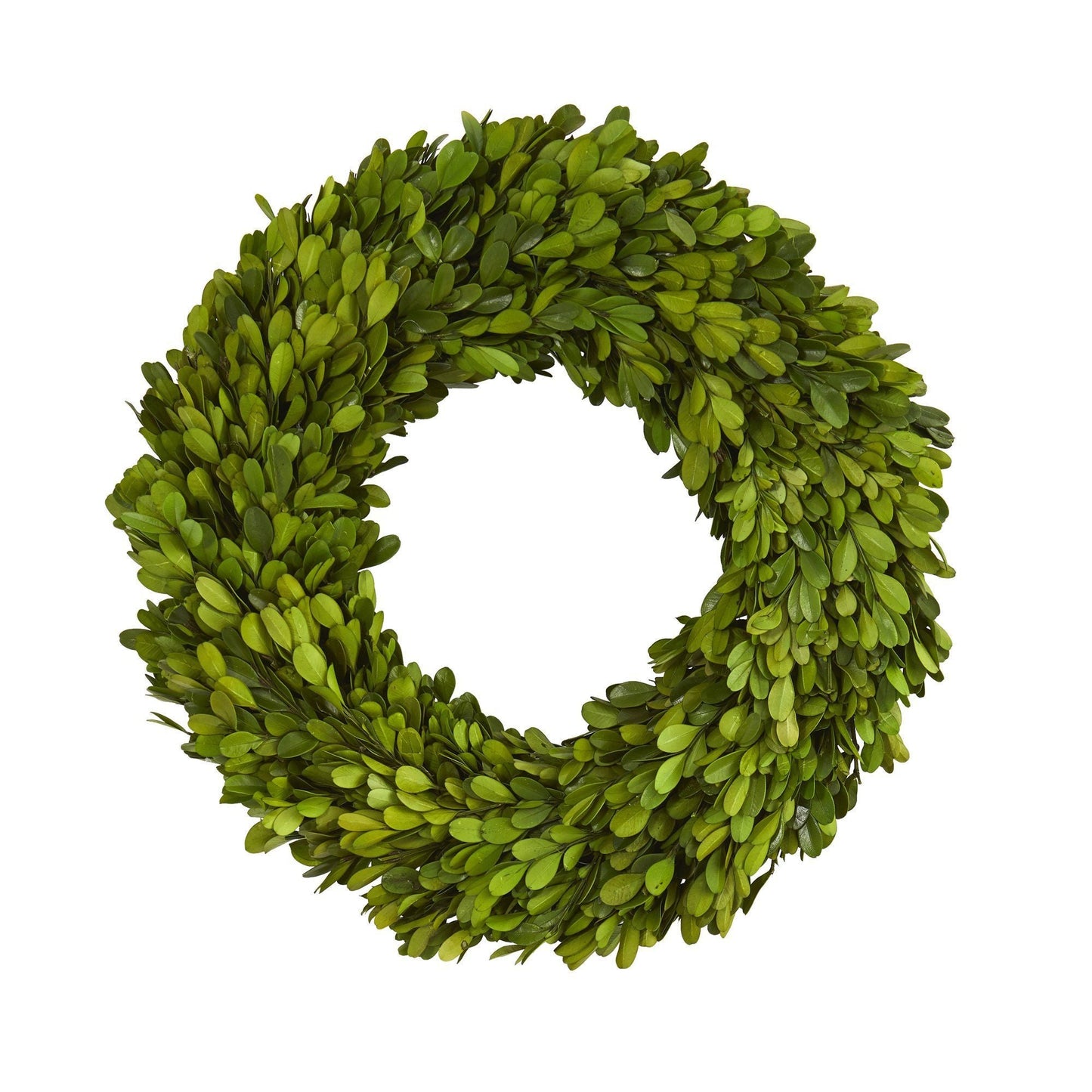 14” Preserved Boxwood Wreath - Nearly Natural