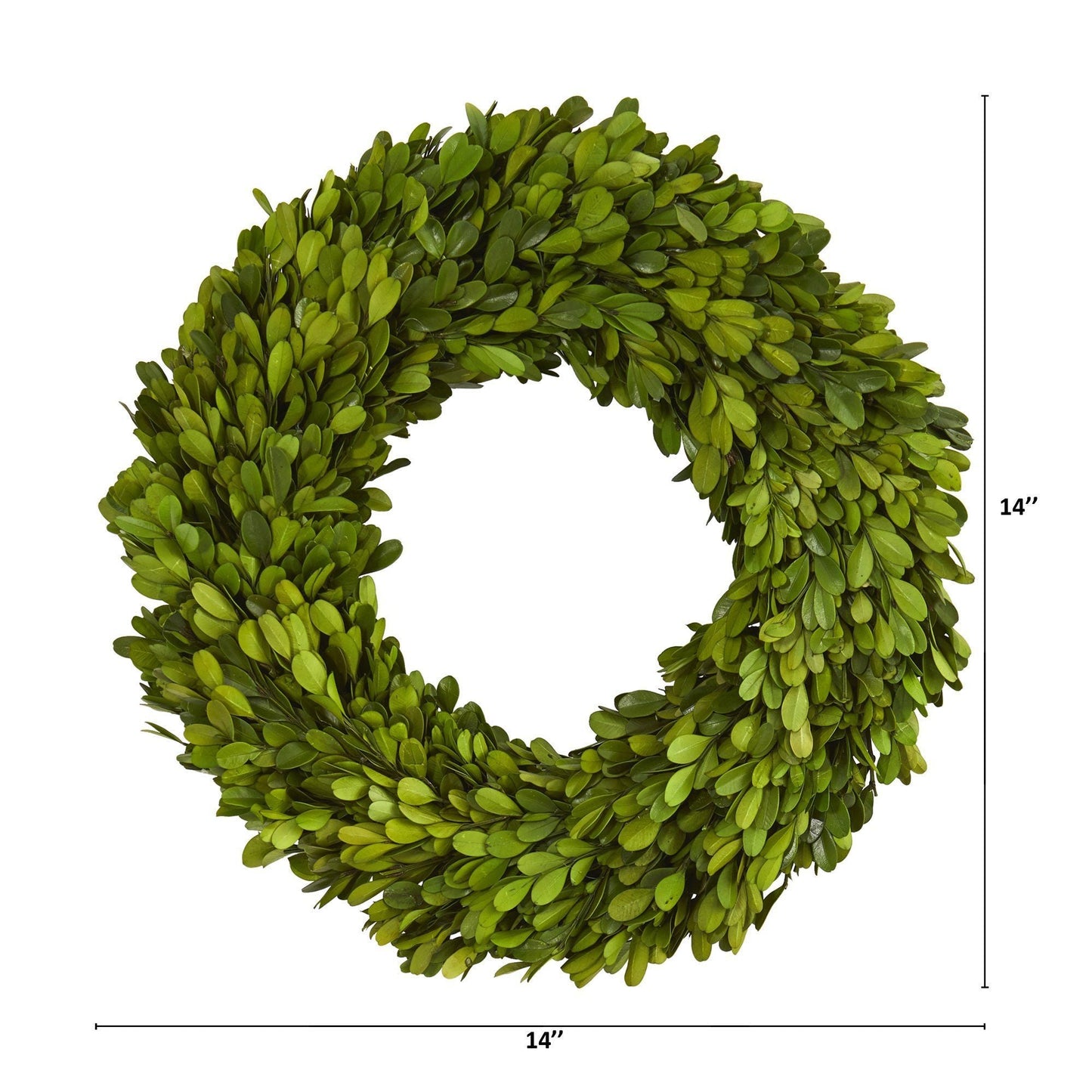 14” Preserved Boxwood Wreath - Nearly Natural