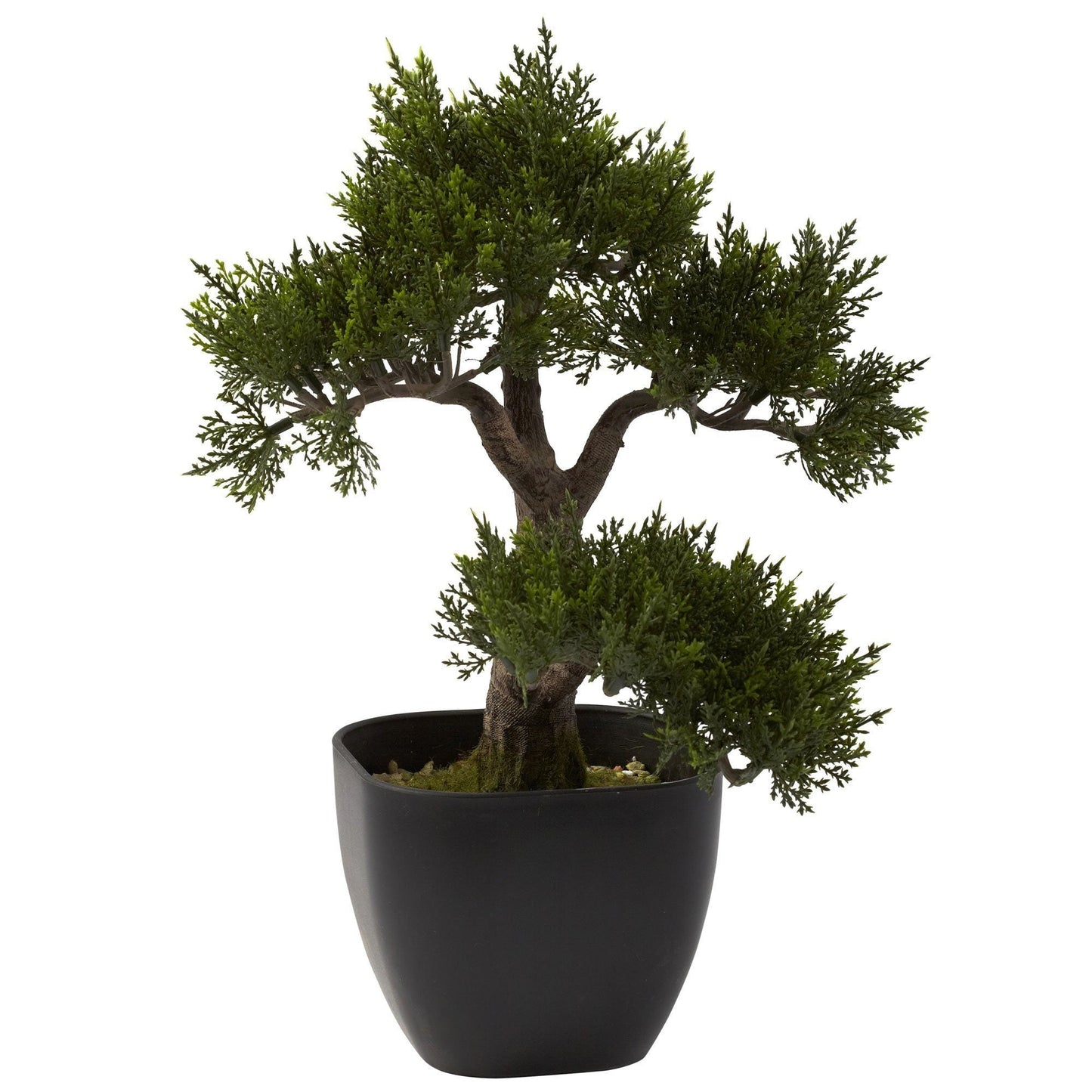 Árbol bonsái de cedro artificial de 15”