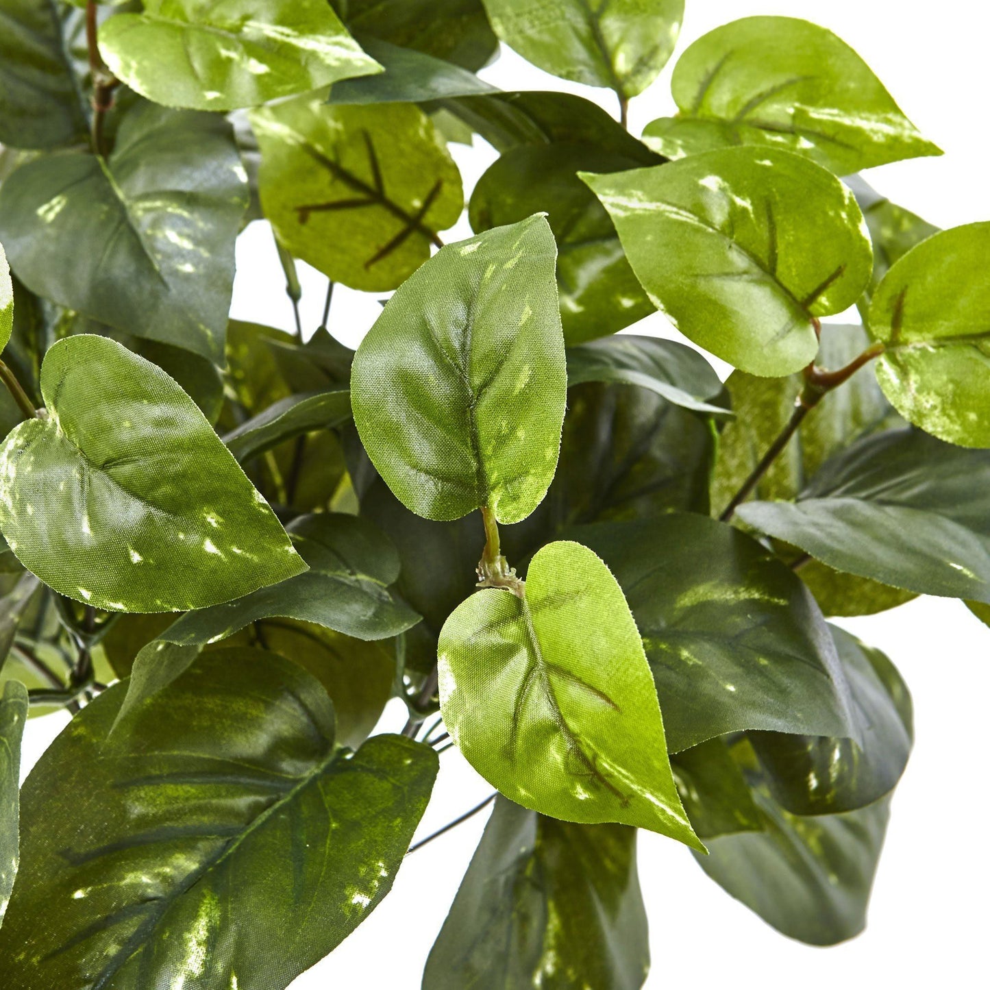 Planta artificial Pothos de 16" (juego de 6)