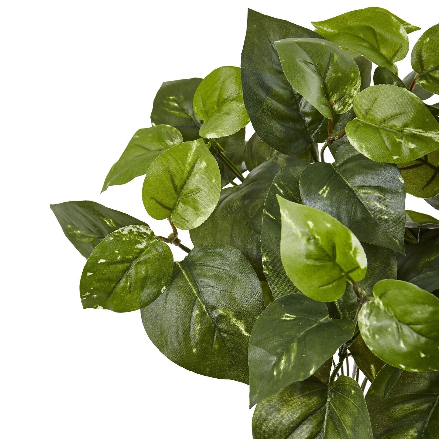 Planta artificial Pothos de 16" (juego de 6)