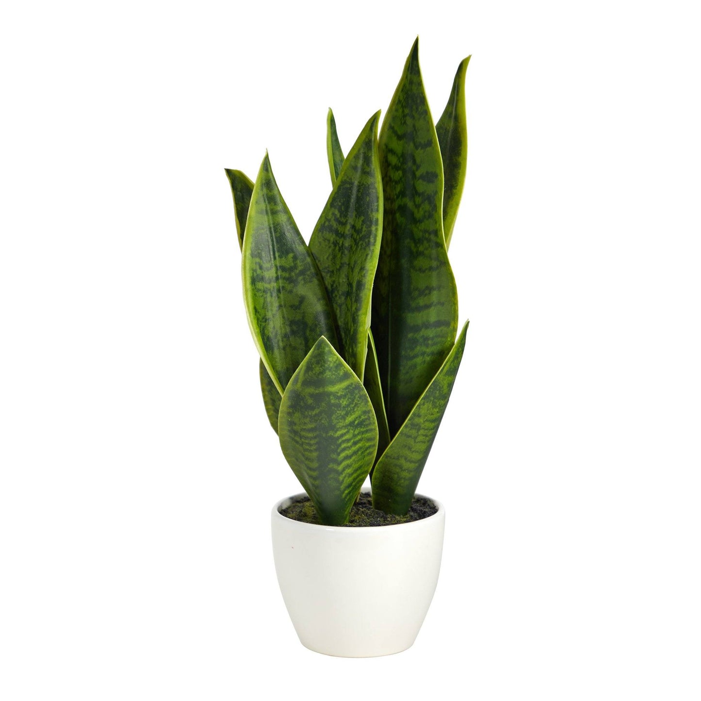 Planta artificial Sansevieria de 16"