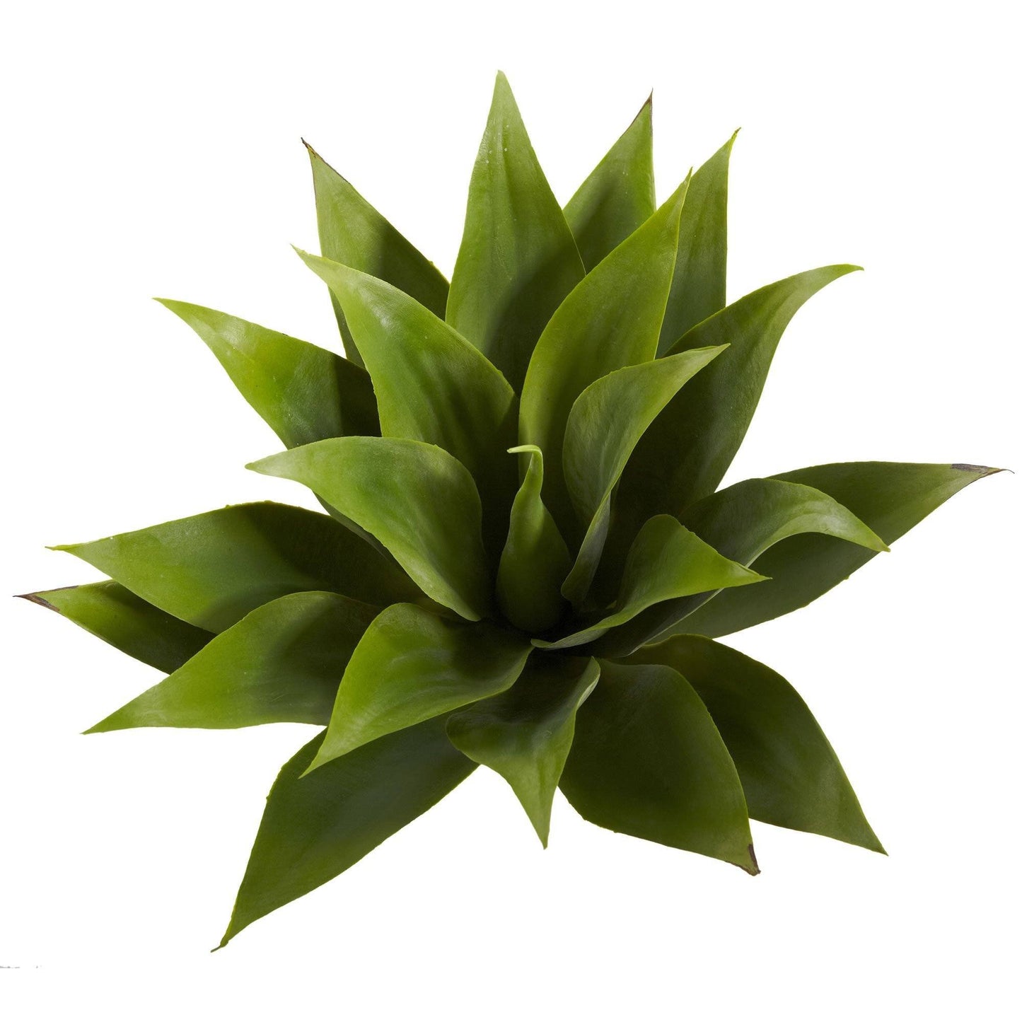 Planta suculenta de agave de 17" (juego de 2)