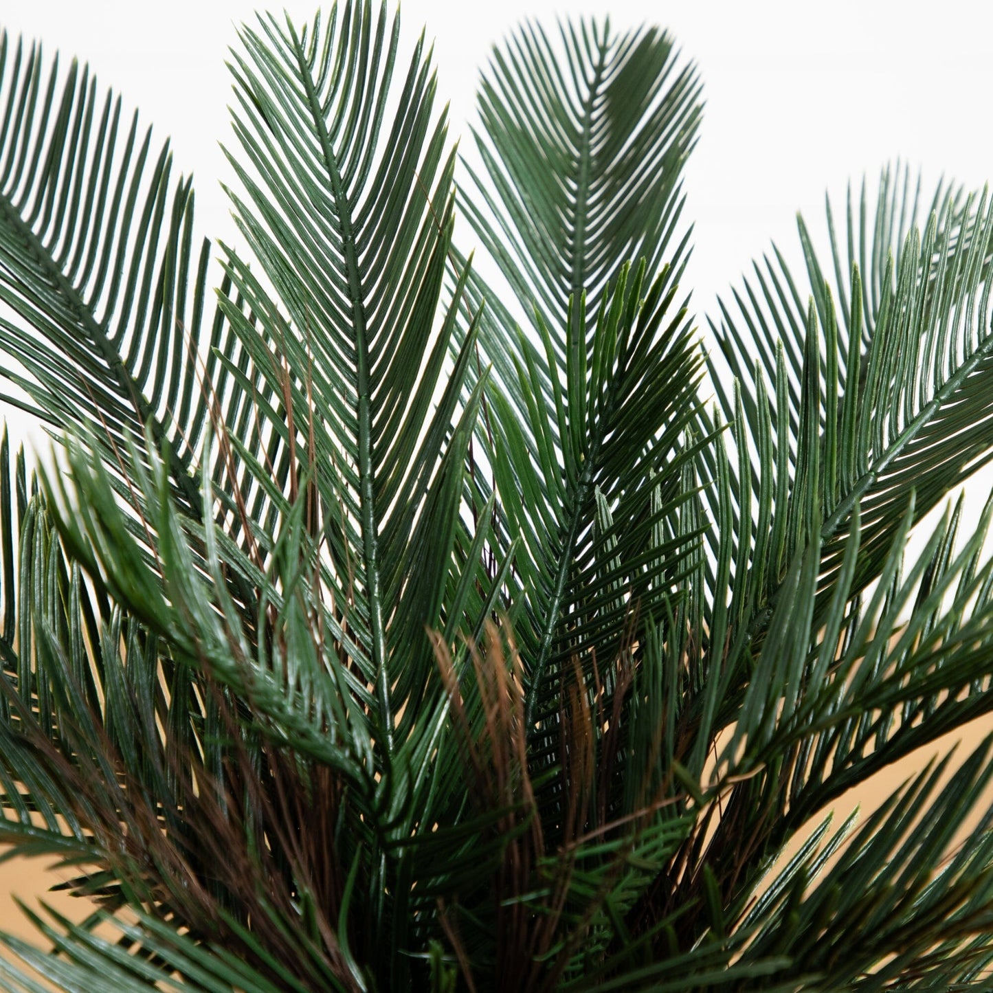 Arbre artificiel Cycas de 2 pi résistant aux UV (intérieur/extérieur)