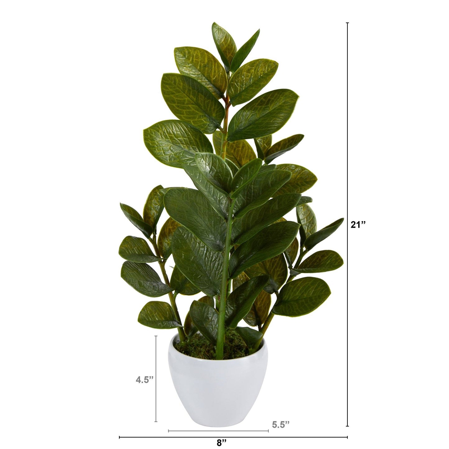 Planta artificial Zamioculcas de 22” en macetero blanco