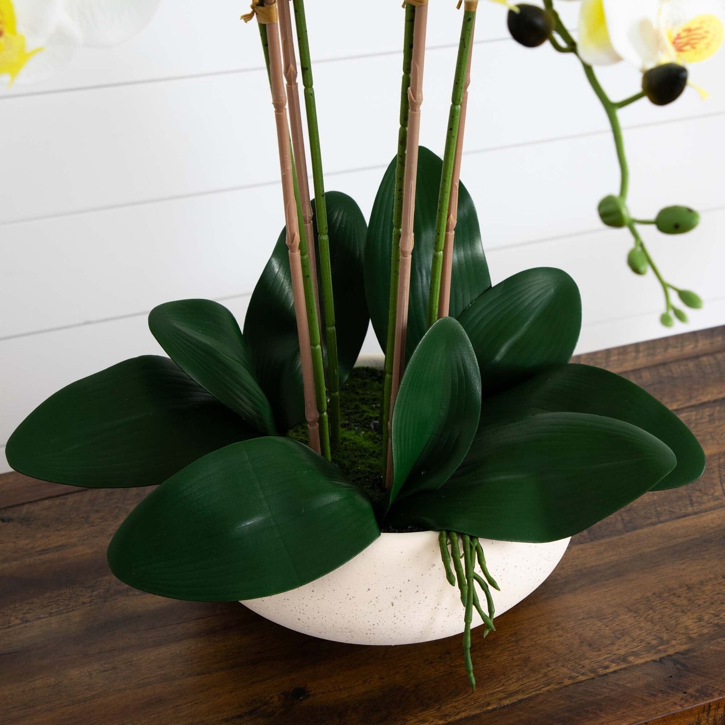 23” Artificial Phalaenopsis Orchid Arrangement in White Ceramic Planter (Real Touch)