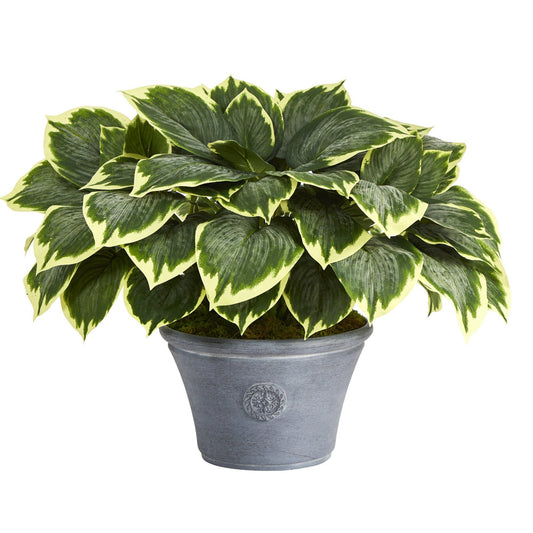 Planta artificial Hosta abigarrada de 23” en macetero gris