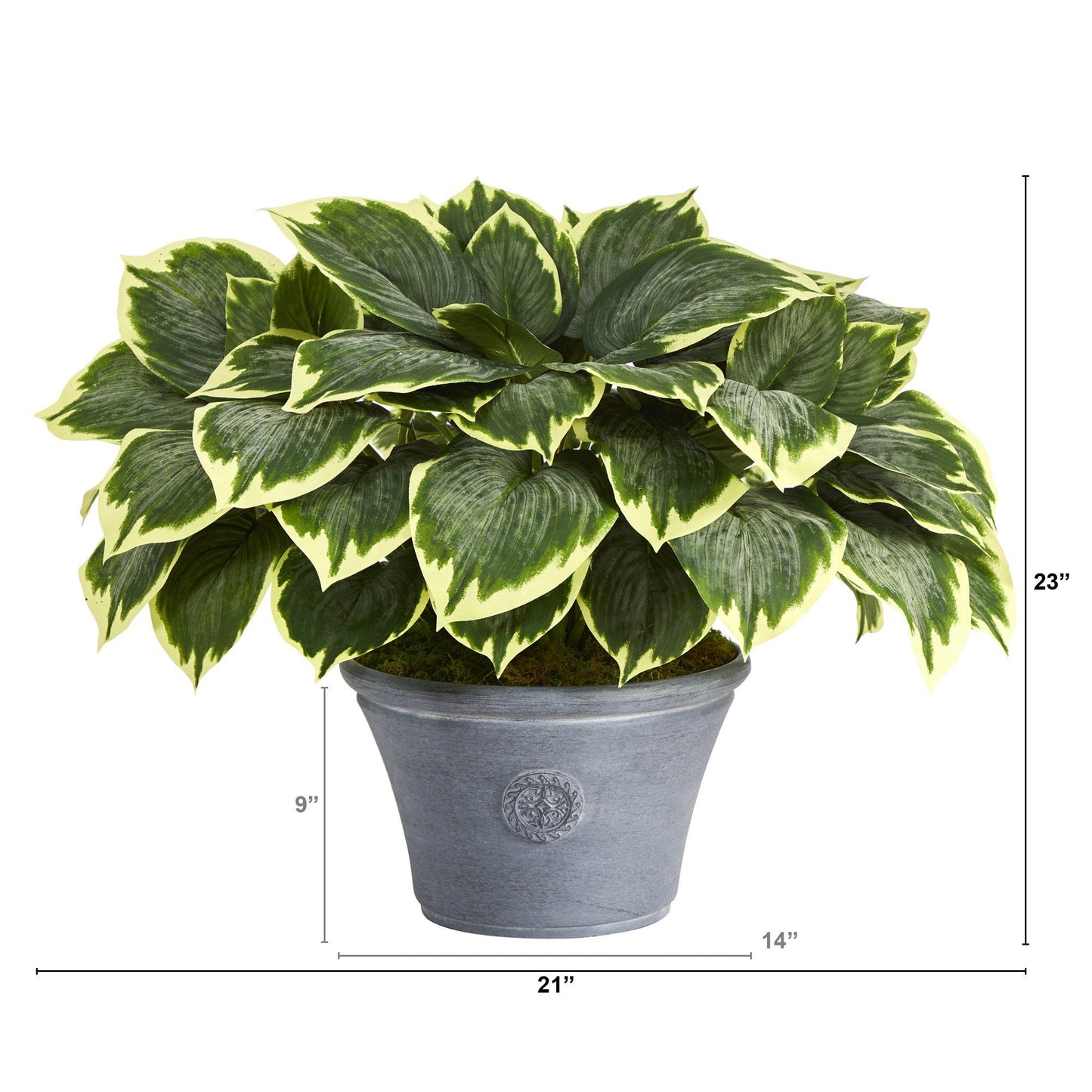 Planta artificial Hosta abigarrada de 23” en macetero gris