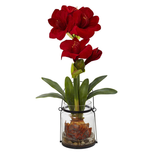 Amaryllis de 24” con florero