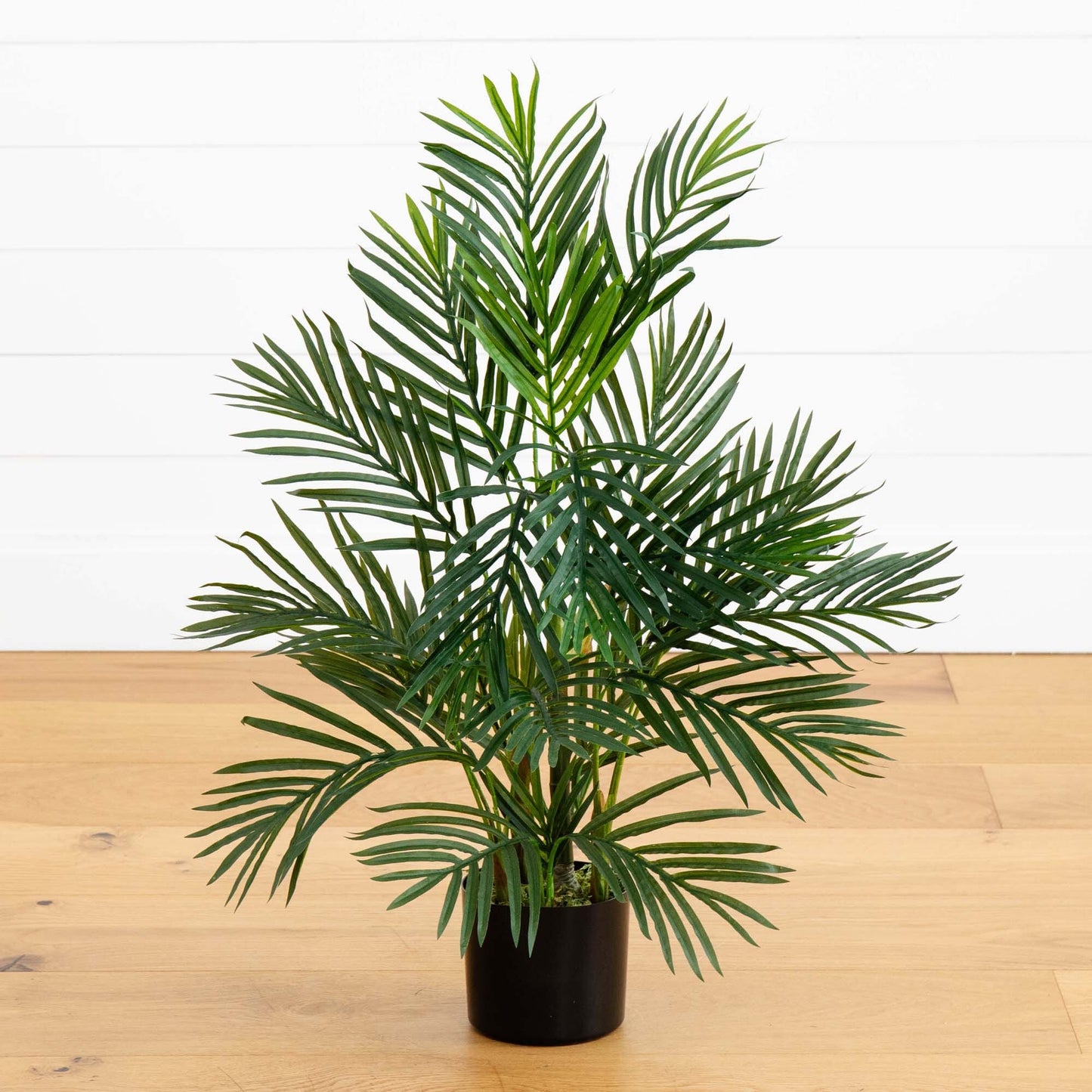 Palmier Areca de 2,5 pi résistant aux UV (intérieur/extérieur)