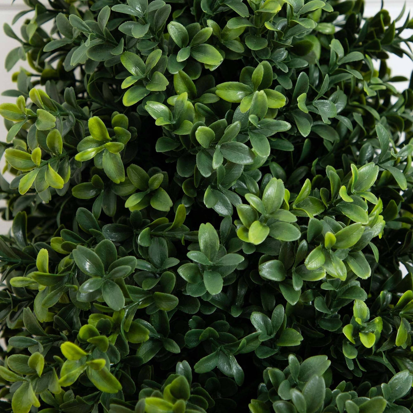 2.5' UV Resistant Artificial Boxwood Plant with Integrated Ground Stake (Indoor/Outdoor) - Set of 2