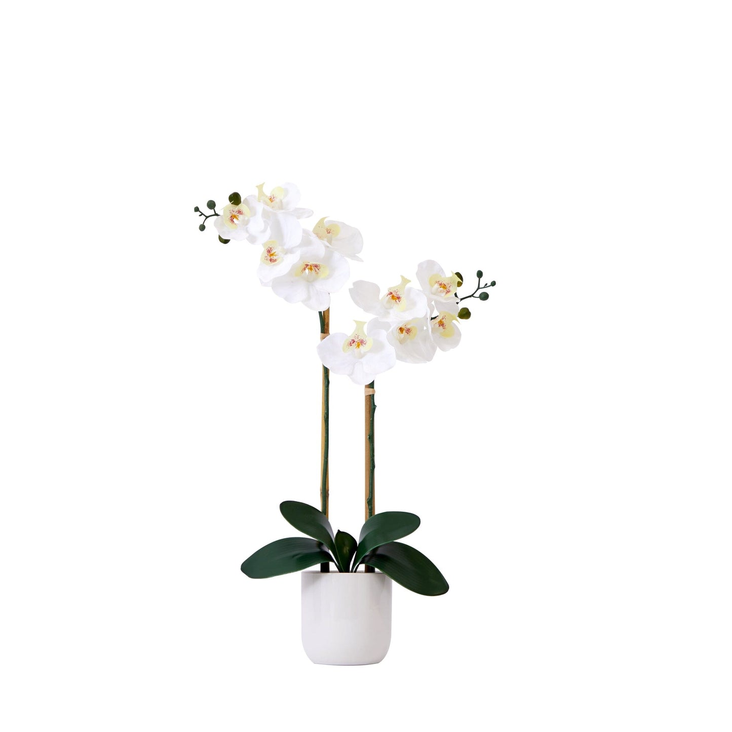 Orquídea Phalaenopsis artificial doble de 26" con tacto real y jarrón decorativo