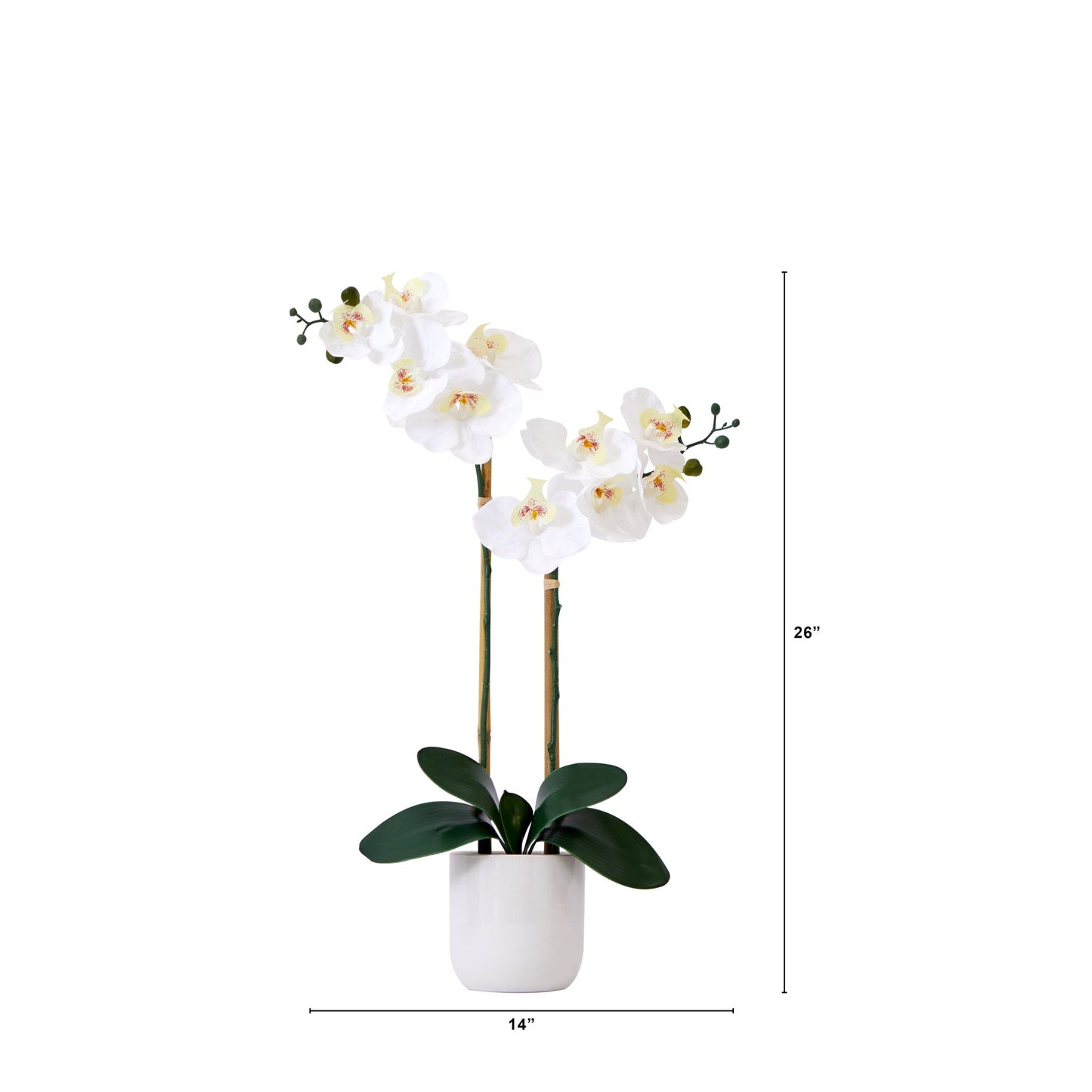 Orquídea Phalaenopsis artificial doble de 26" con tacto real y jarrón decorativo