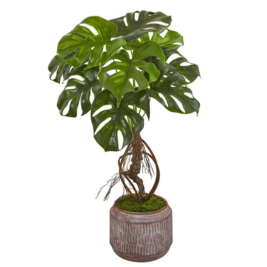 Planta artificial Monstera de 26" en macetero de gres