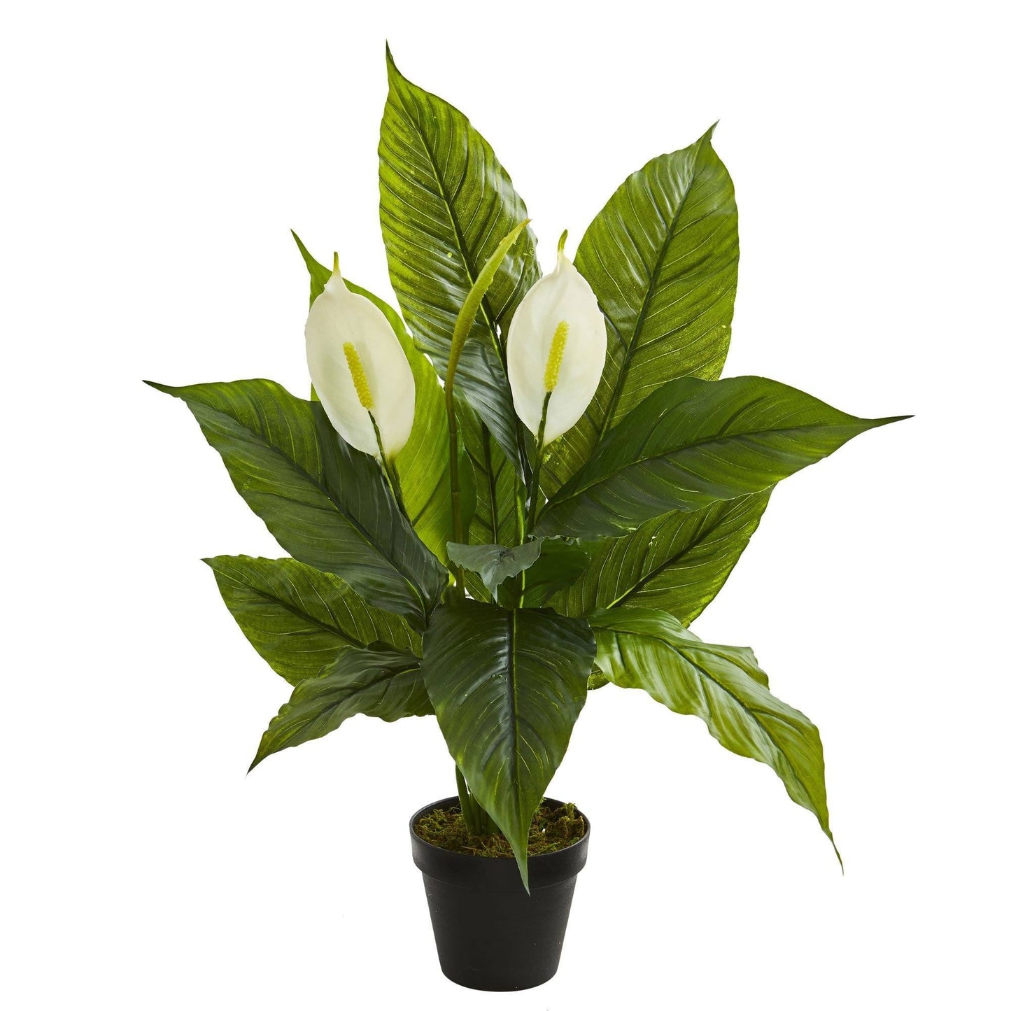 Planta artificial Spathiphyllum de 26” (tacto real)