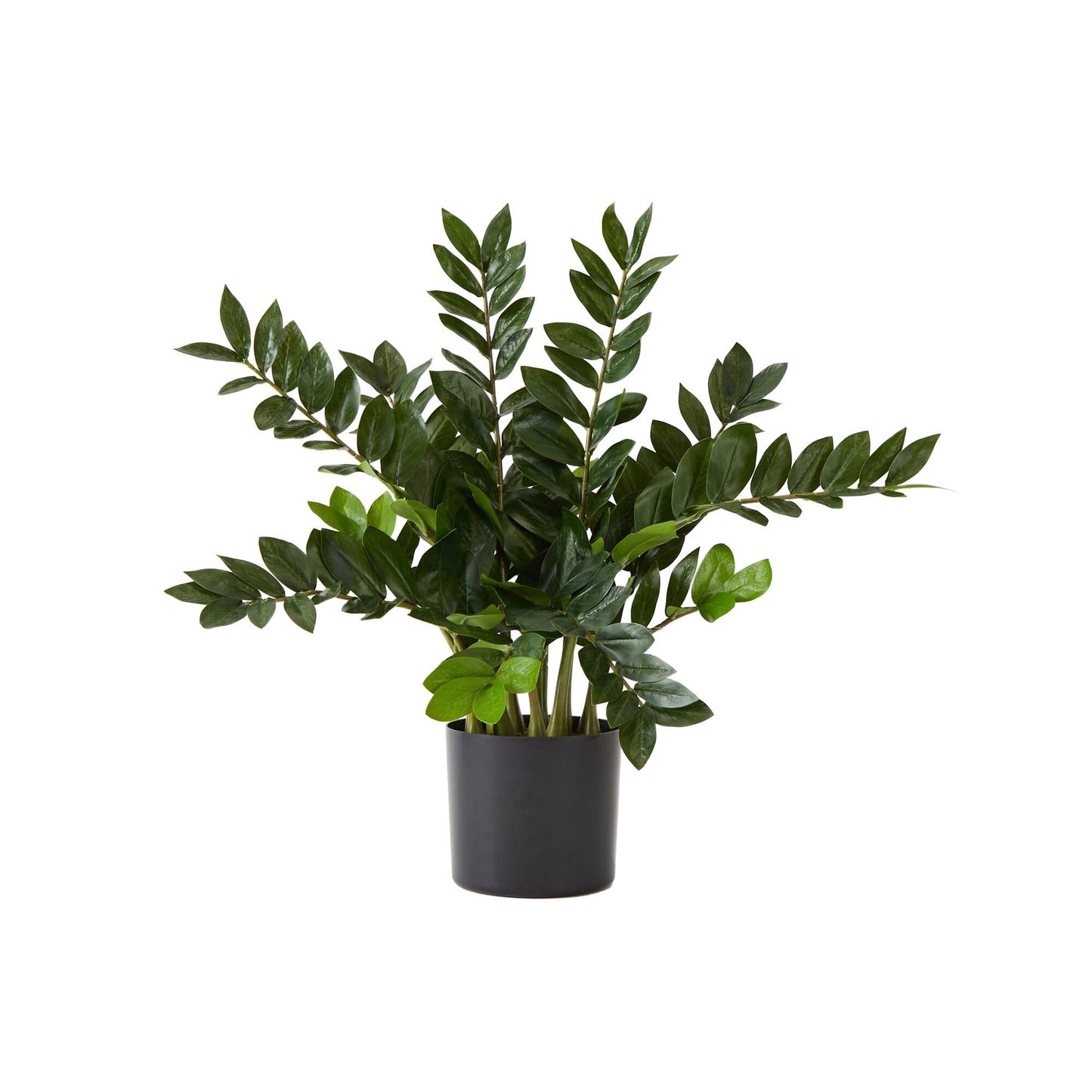 28” Artificial Zamioculcas Plant