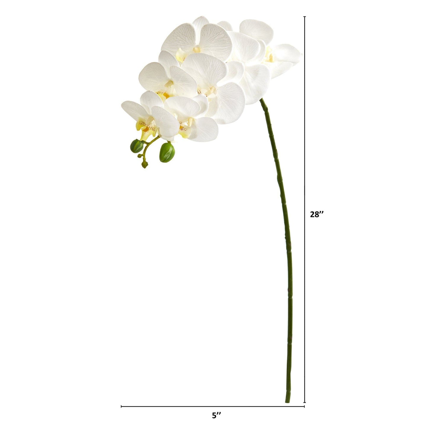 Tallo de flor artificial de orquídea Phalaenopsis de 28" (juego de 6)